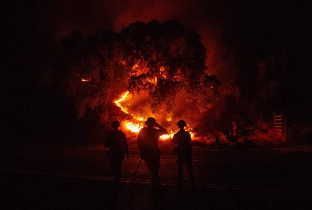 Así son los mortíferos incendios forestales en California, Estados Unidos