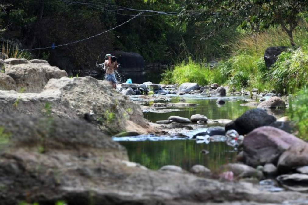 Las fotos más impactantes de la prolongada sequía en Honduras