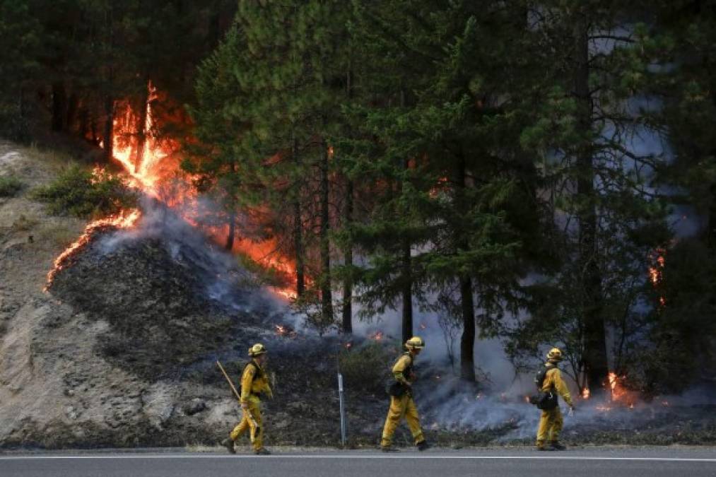 Así son los mortíferos incendios forestales en California, Estados Unidos