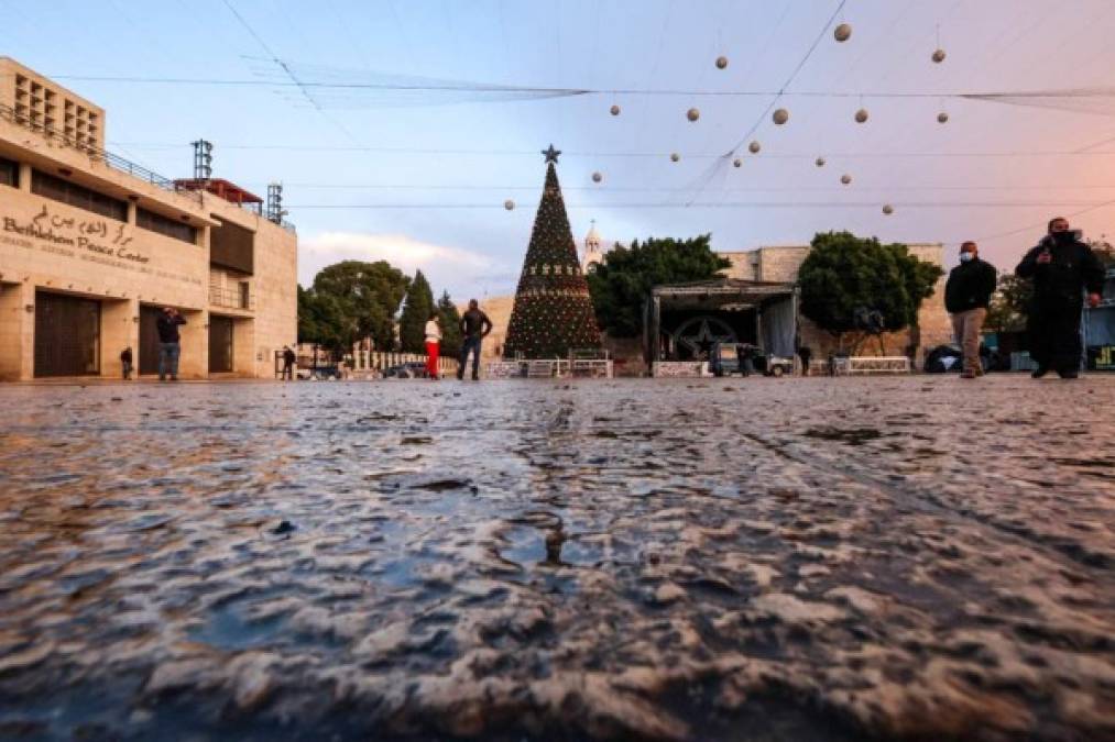 Árboles de Navidad más bellos del mundo: ¡Honduras en la lista!