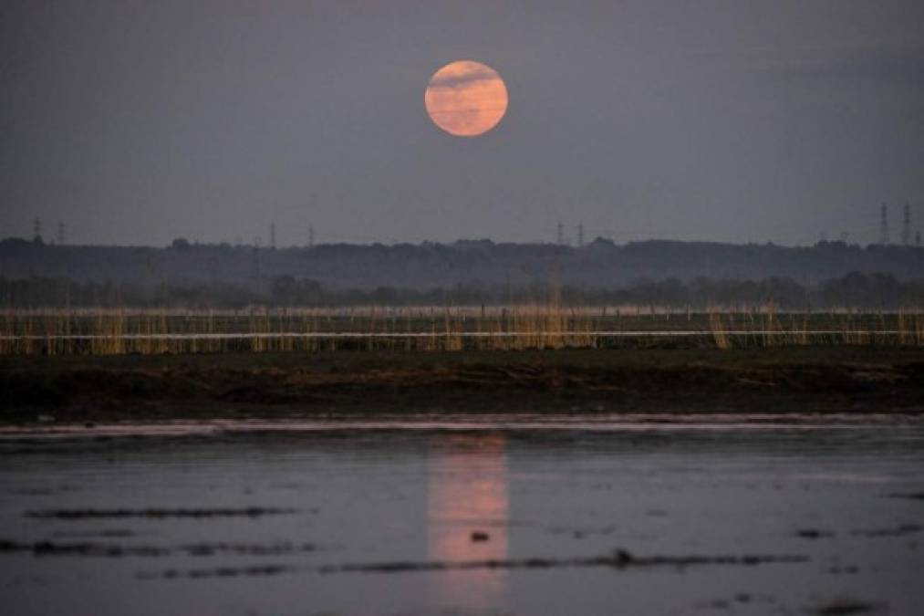 Así se vio en el mundo la Superluna de Nieve, la más brillante de 2019 (FOTOS)