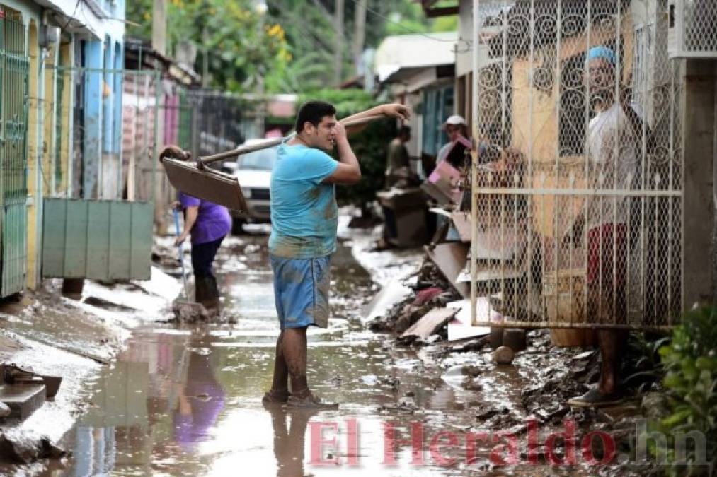 ¡Imágenes que duelen! Las duras secuelas de Eta a su paso por Honduras