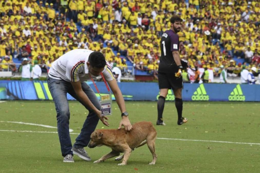 Color al máximo en Barranquilla con juego antre Colombia y Brasil