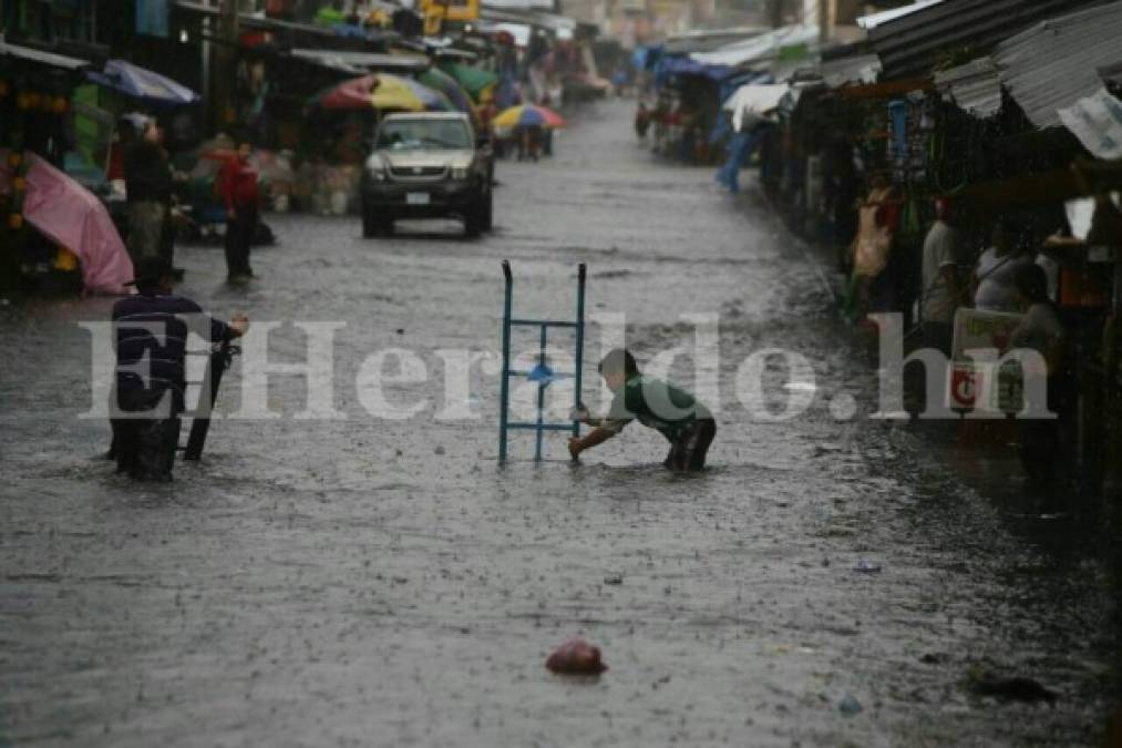 Fotos: Fuertes lluvias azotaron calles y avenidas de la capital de Honduras