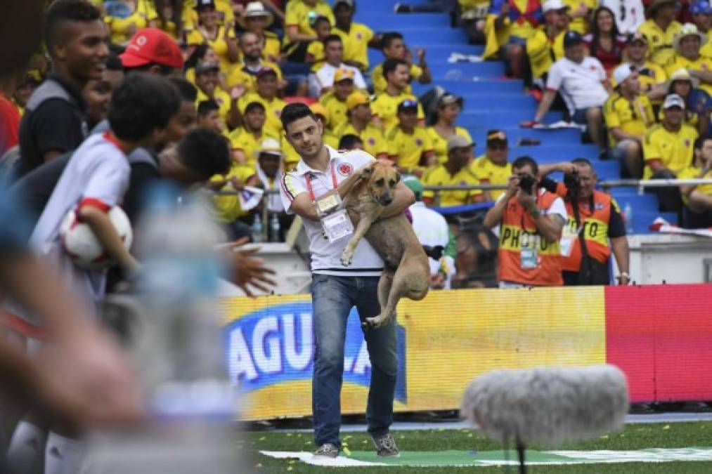 Color al máximo en Barranquilla con juego antre Colombia y Brasil