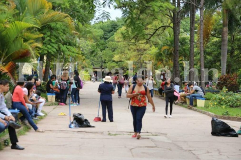 Así amanecieron los predios de la Universidad Nacional Autónoma de Tegucigalpa