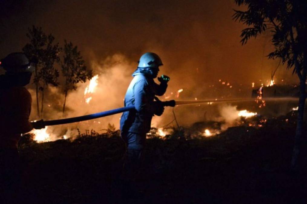 Impactantes imágenes del incendio forestal que arrasó varias hectáreas en El Hatillo