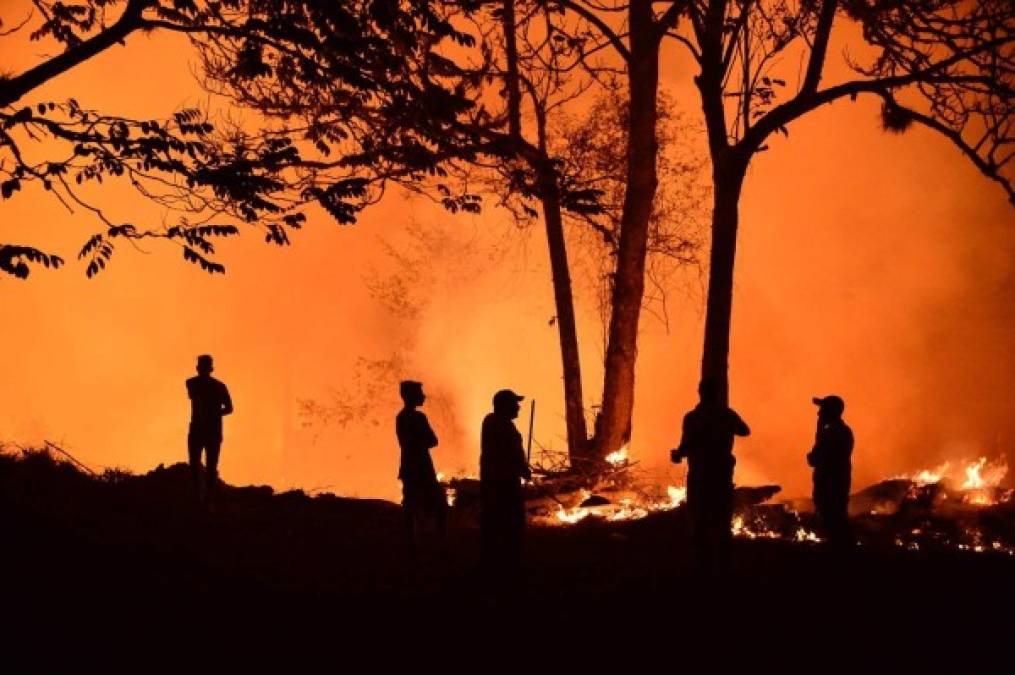 Impactantes imágenes del incendio forestal que arrasó varias hectáreas en El Hatillo