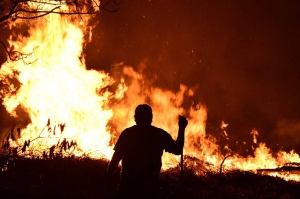 Impactantes imágenes del incendio forestal que arrasó varias hectáreas en El Hatillo