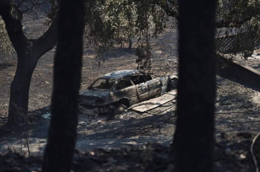 Incendio en Portugal dejó imágenes escalofriantes