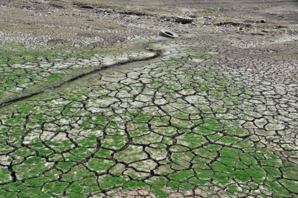 Honduras: Las tristes imágenes de la represa Los Laureles que luce casi desierta