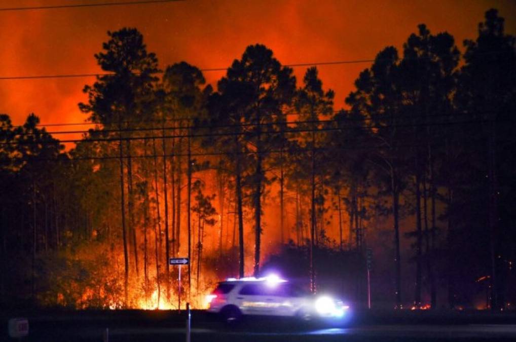 Enfermedades, incendios y muerte de personalidades: el catastrófico 2020 en imágenes