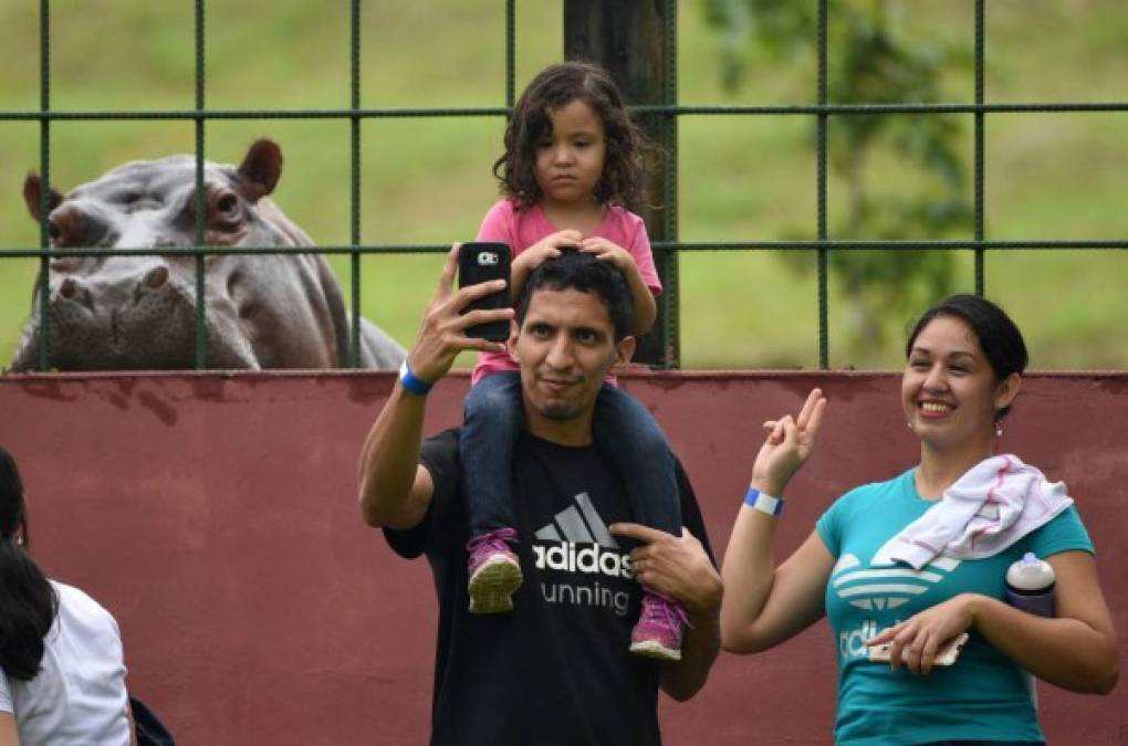 FOTOS: Joya Grande, un zoológico que sufre por falta de recursos económicos