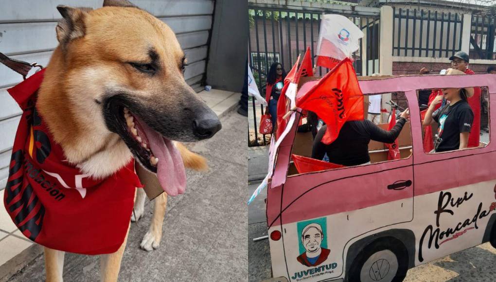 Mascotas, la “Rixineta” y otras curiosidades durante la marcha del 1 de mayo en la capital