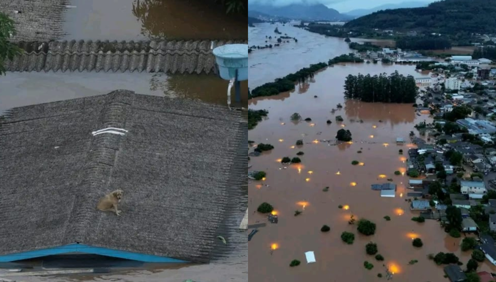 Brasil bajo el agua: ciudades desaparecen por inundaciones tras fuertes lluvias