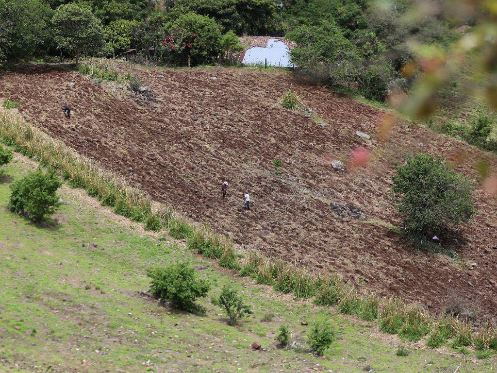 $!Muchos campesinos de Honduras han posado sus únicas esperanzas en la lluvia, ante el abandono estatal histórico.