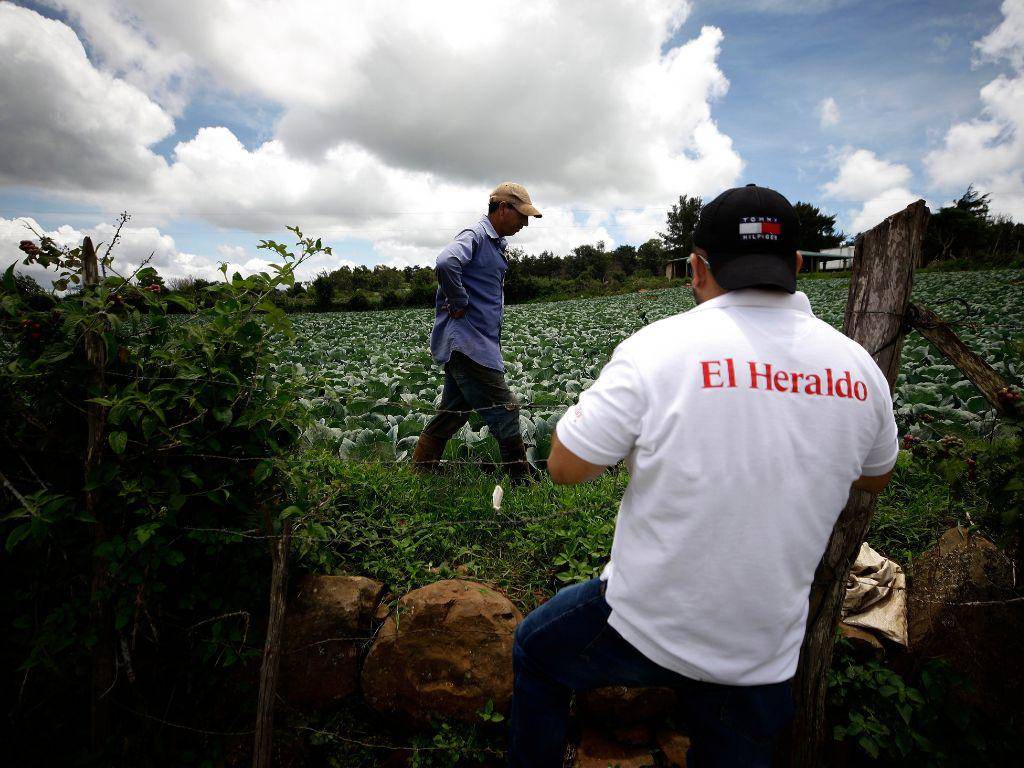 $!Los agricultores entrevistados por EL HERALDO Plus afirmaron que tienen poco apoyo, financiamiento y asistencia del Estado.