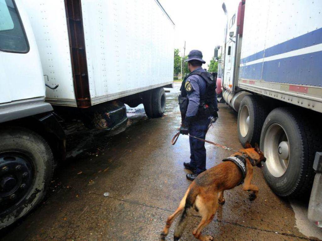 $!Las autoridades supervisan los vehículos que circulan entre la frontera de Honduras y Nicaragua con perros entrenados para detectar drogar.
