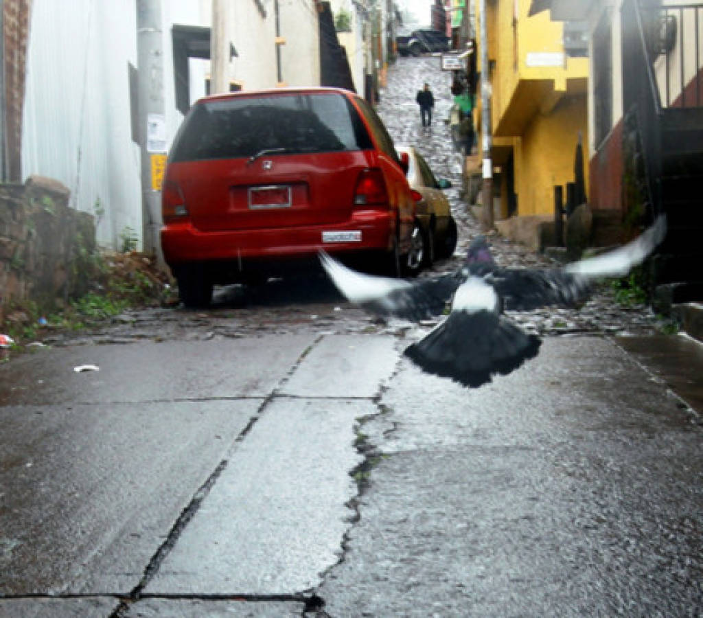 El barrio La Leona en imágenes