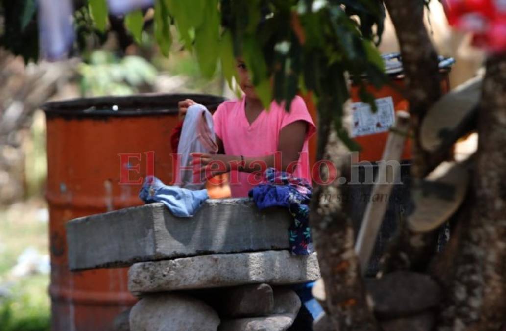 Venden leña, cuidan a sus hermanos o ayudan en casa: los niños que dejaron las escuelas por el covid