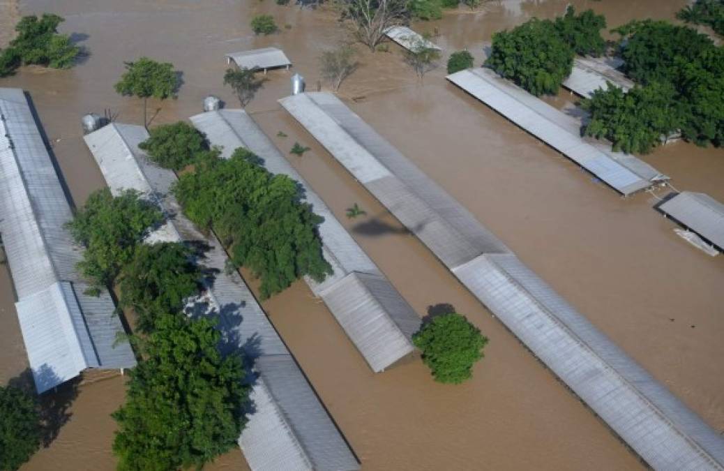 El sorprendente rescate aéreo de familias hondureñas atrapadas por Iota (FOTOS)