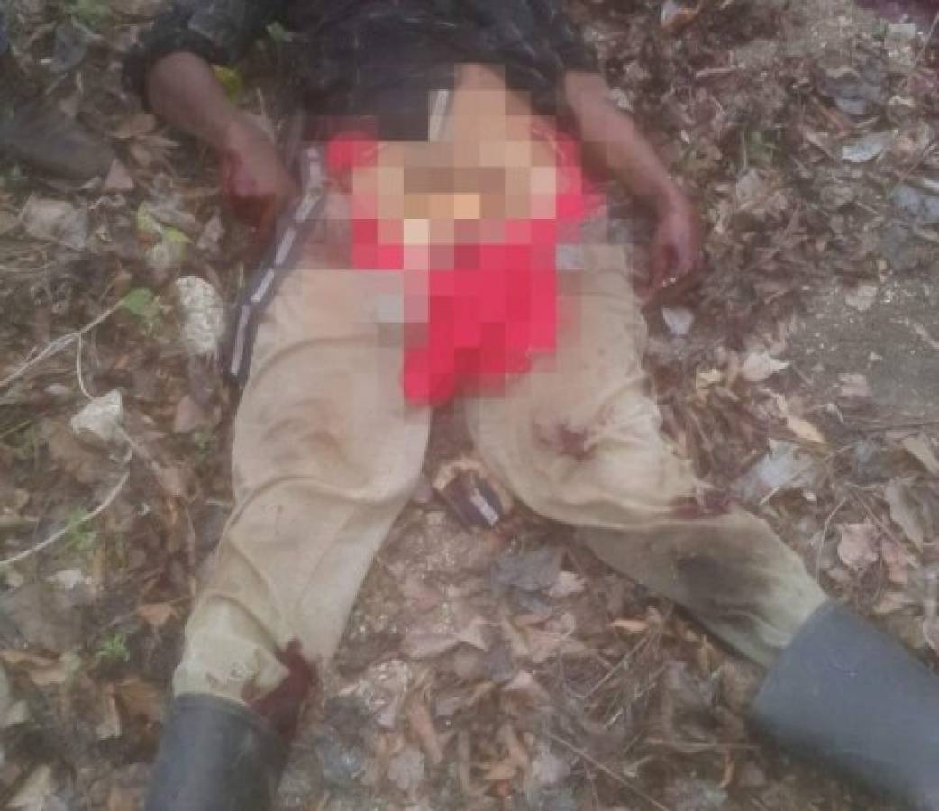 Honduras: Cadáver de jornalero es encontrado decapitado en potrero de Sulaco
