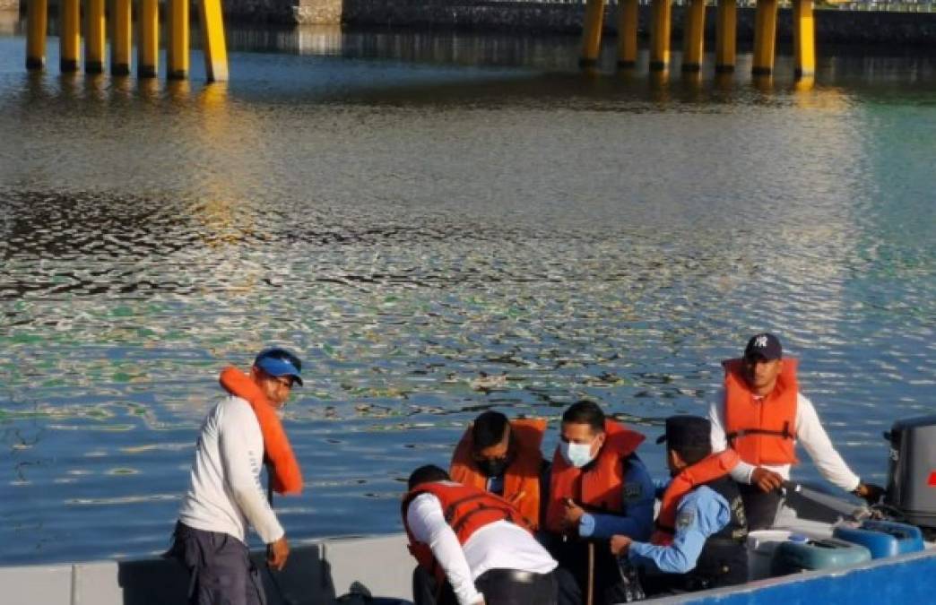 Padre de Angie Peña lo desvirtúa, pero las autoridades lo ven como luz: hallan chaleco y cordón en Belice