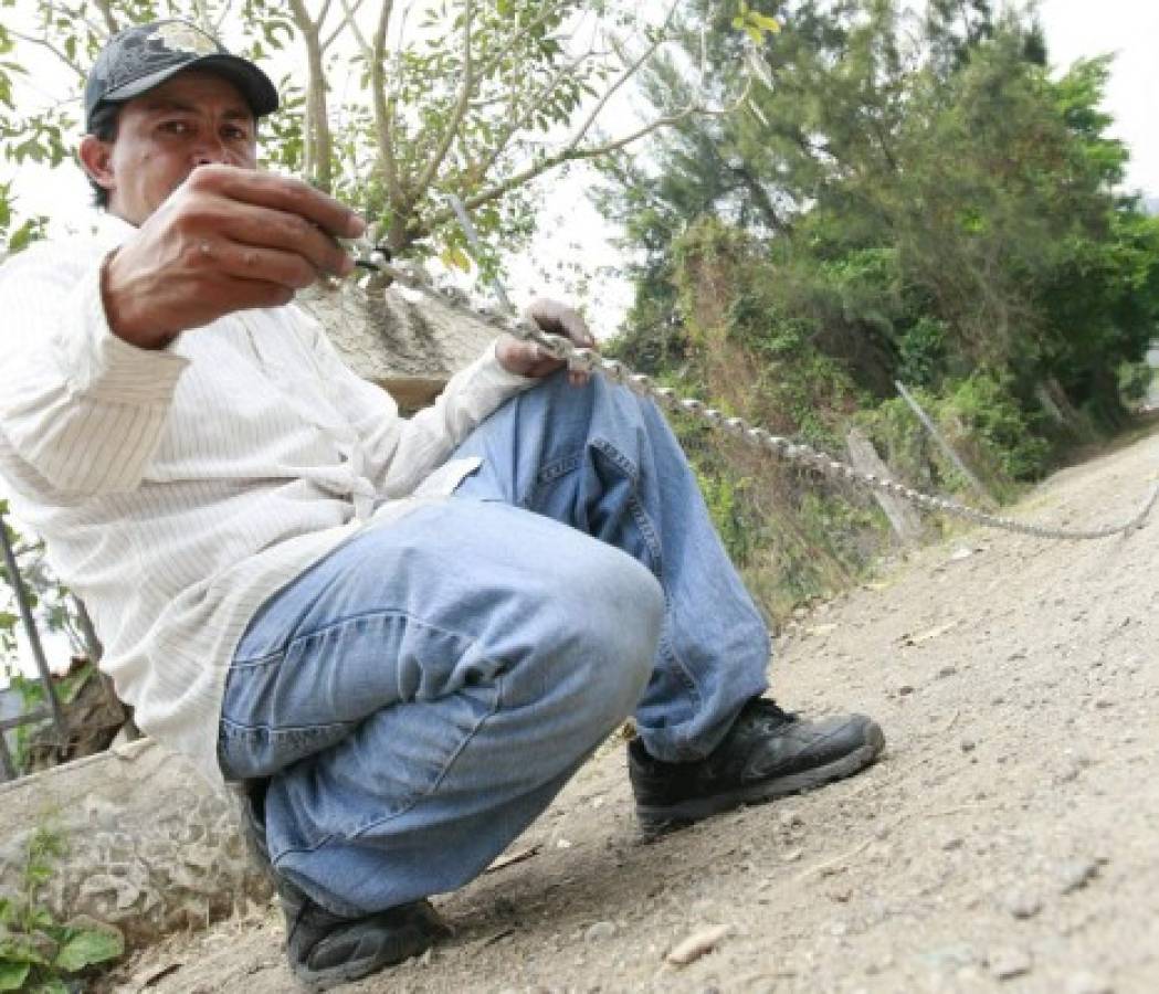 Hondureño sueña con ingresar a los Guinness con cadena de anillas más larga