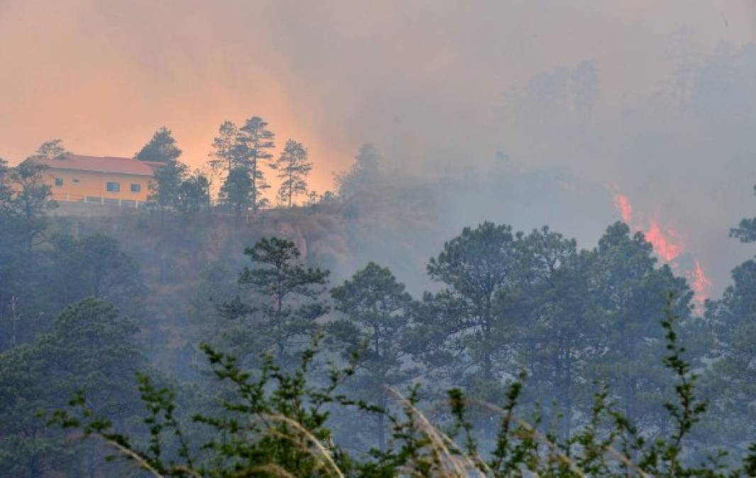 El infierno en la tierra: Los incendios forestales azotan Honduras (Fotos)