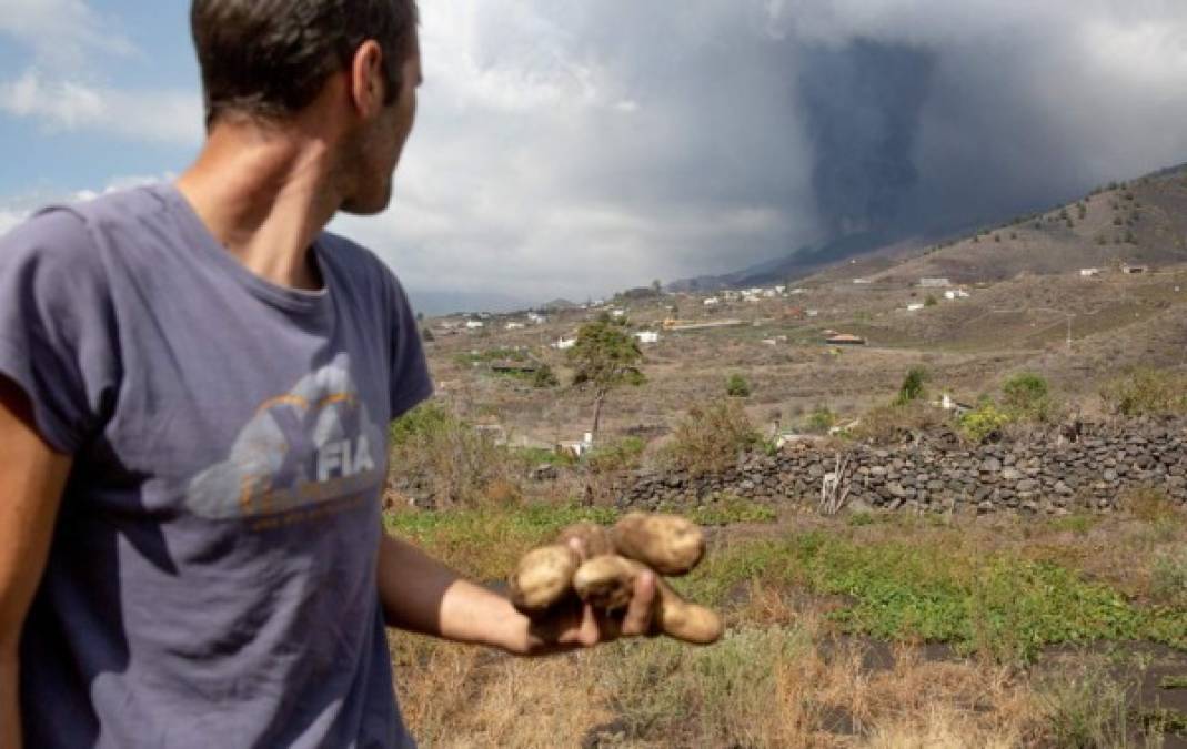 Catastróficas imágenes a 7 días de la erupción del volcán de La Palma