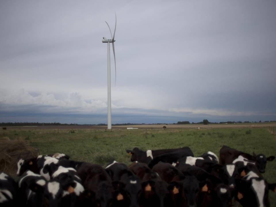 Uruguay genera casi toda su electricidad de fuentes renovables. Energía eólica en un parque cerca de Montevideo. (Nicolas Garcia/Agence France-Presse — Getty Images)
