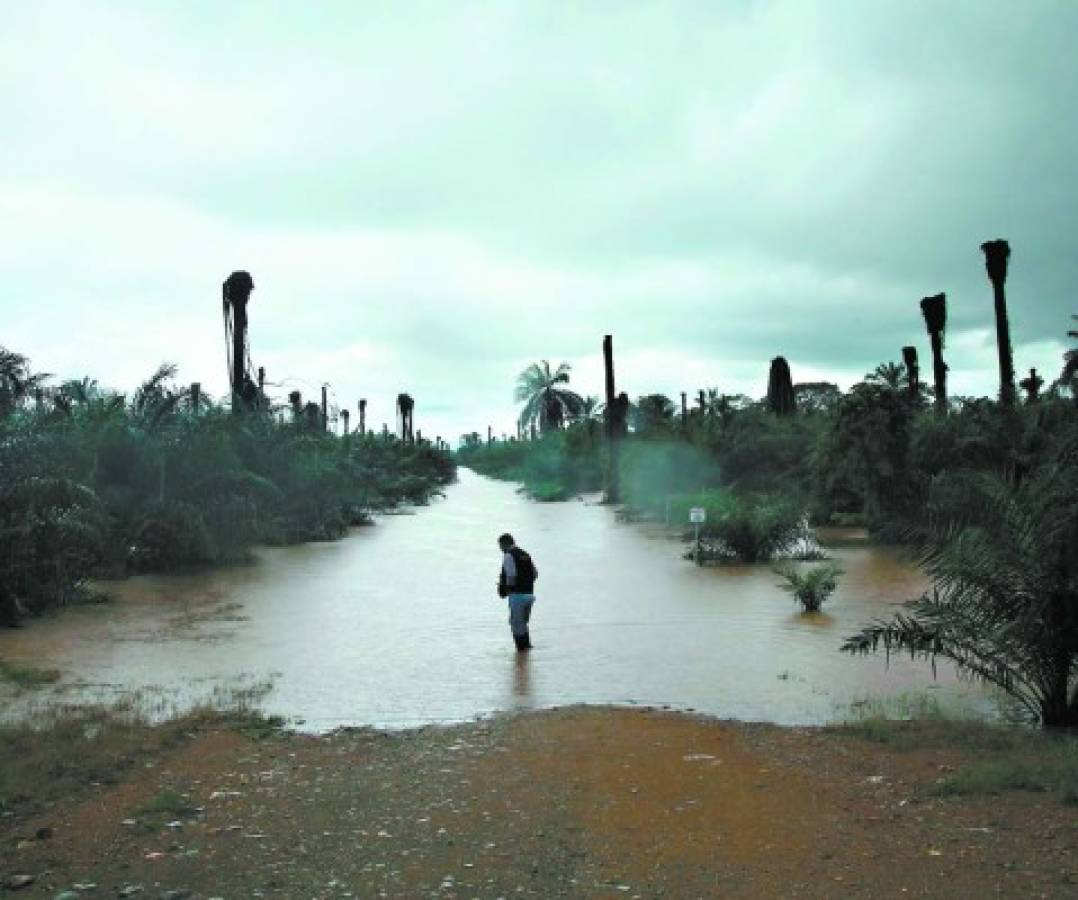 Muerte, daños y damnificados deja frente frío en Honduras