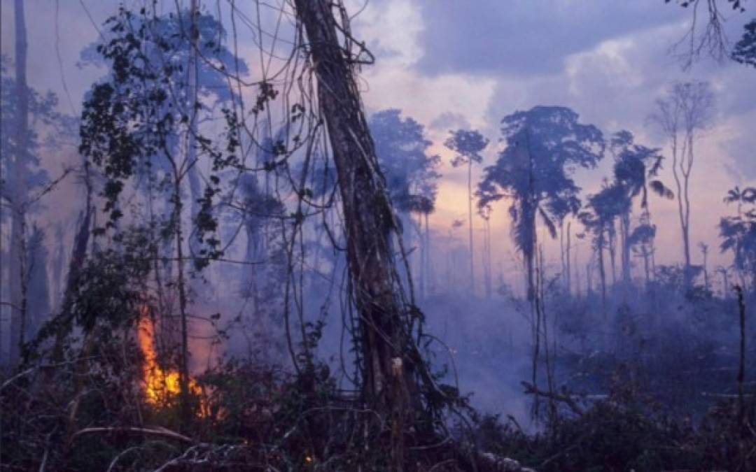 Así luce la Amazonia, el pulmón del mundo devorado por un incendio