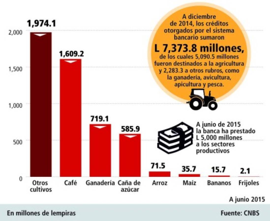 Productores del agro urgen medidas para enfrentar endeudamiento