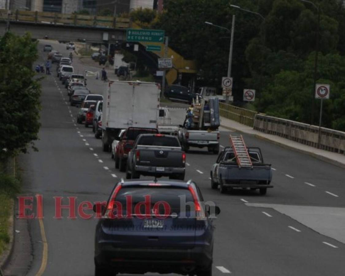 Autoridades rectifican y anulan circulación por número de placa vehicular