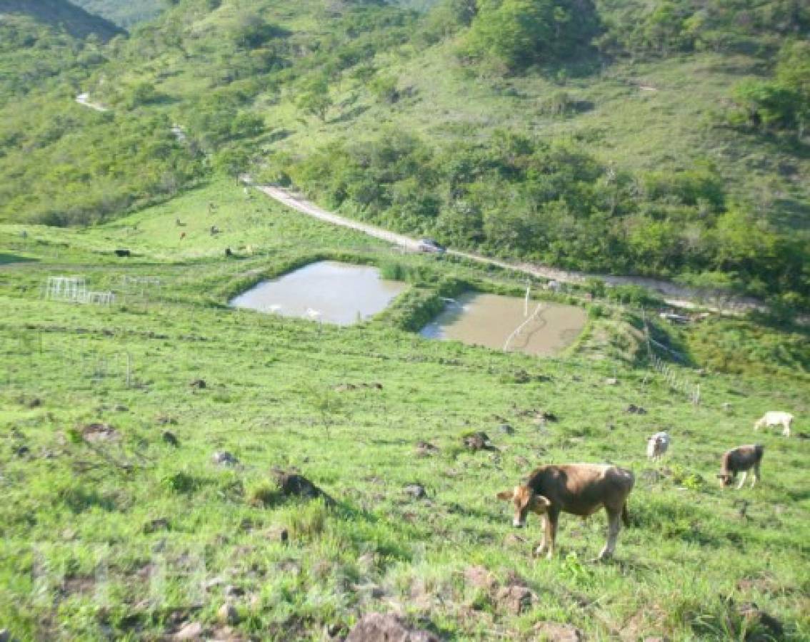 Río del Hombre, la apuesta para una nueva represa en capital hondureña