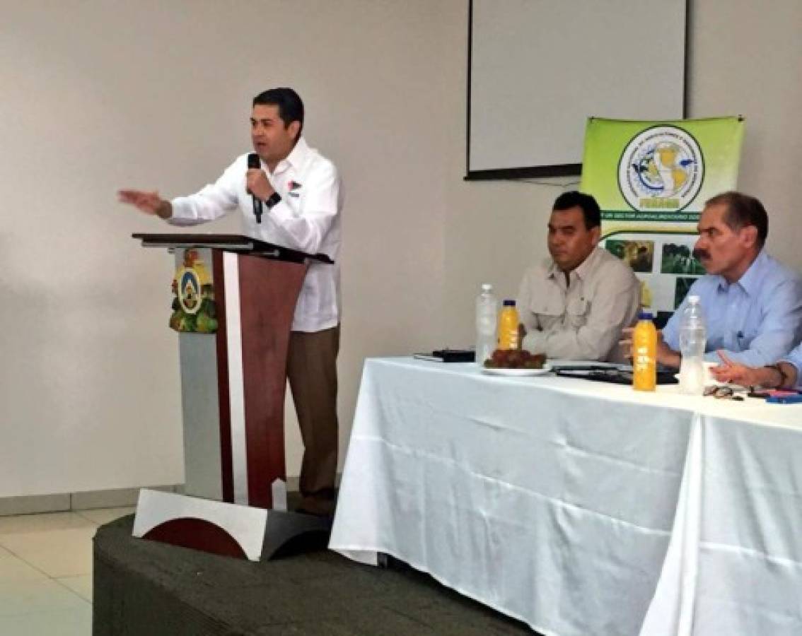 Sectores productivos debaten sobre impacto de sequía en Honduras