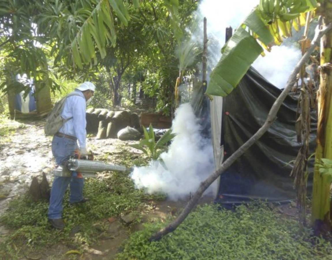 Sostenidas acciones contra el dengue en Choluteca