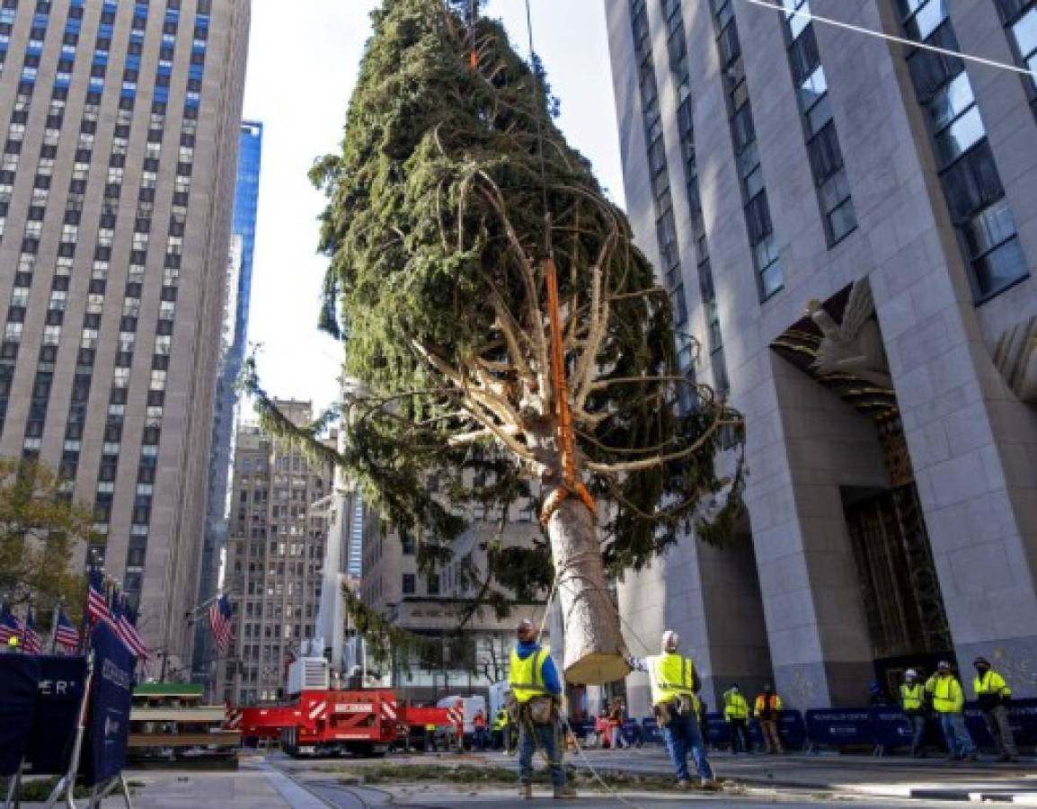 Encienden árbol de Navidad de Nueva York bajo normas de cuarentena