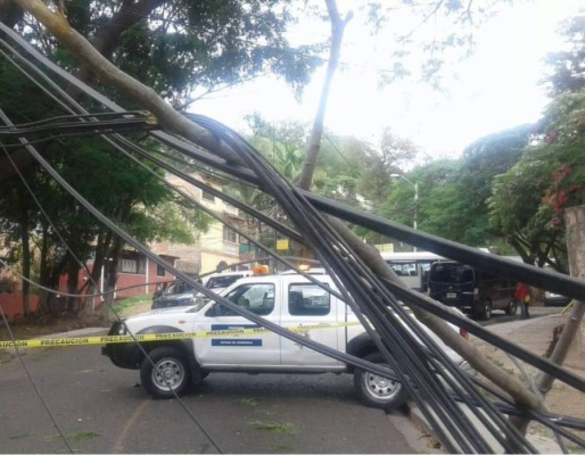 Cortocircuitos y árboles caídos dejan fuertes vientos