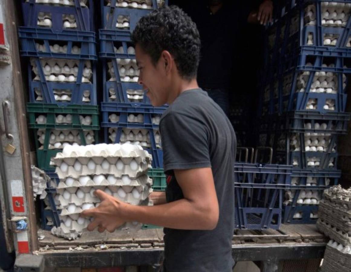 Honduras exportará huevos a Nicaragua y Guatemala