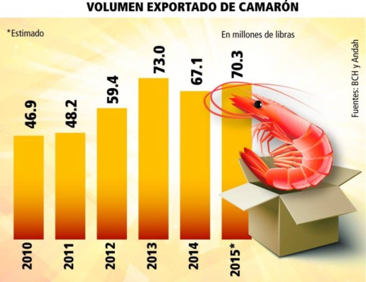 Sin legalizarse 142 fincas camaroneras