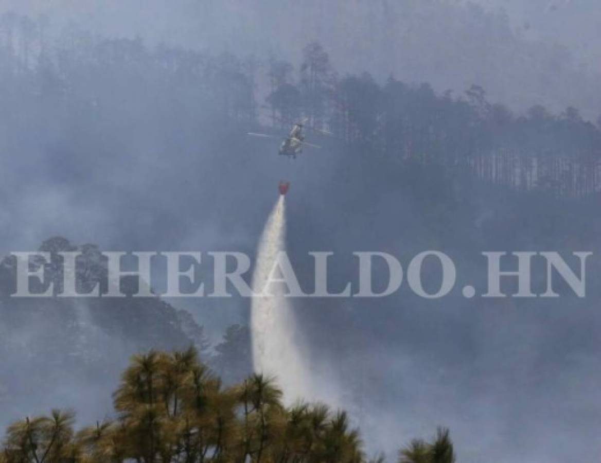 Extinguido en su totalidad incendio que consumió unas 400 hectáreas de bosque en El Hatillo