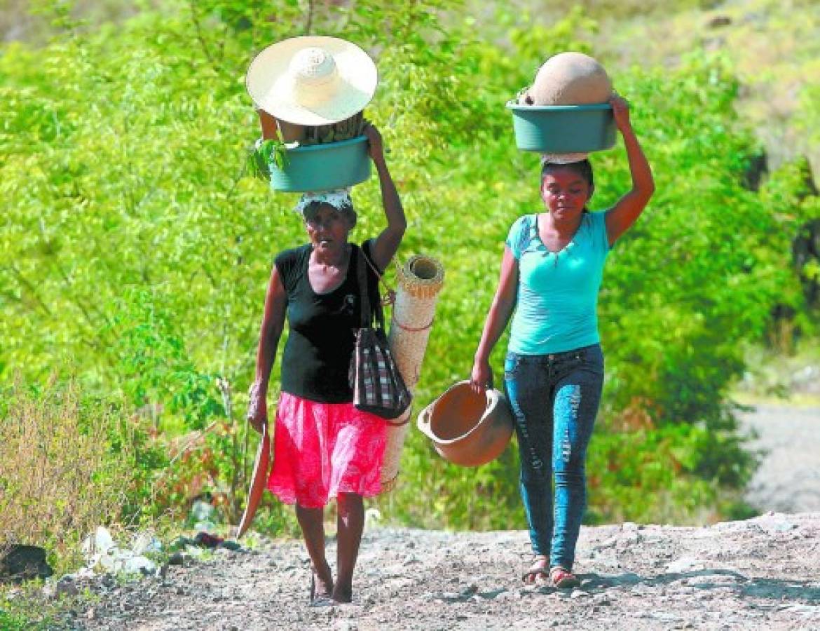 Agricultores de Orocuina lamentan estragos que deja la sequía en sus cosechas