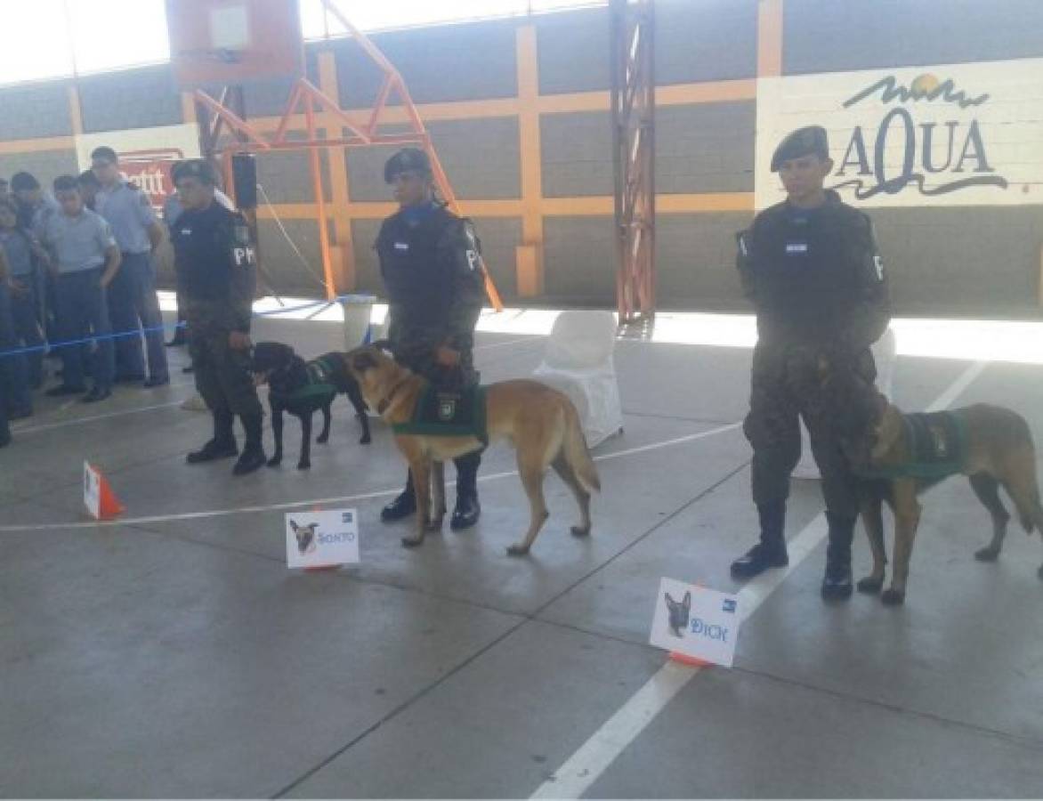 Nido de Águila reconoce labor de escuadrón canino