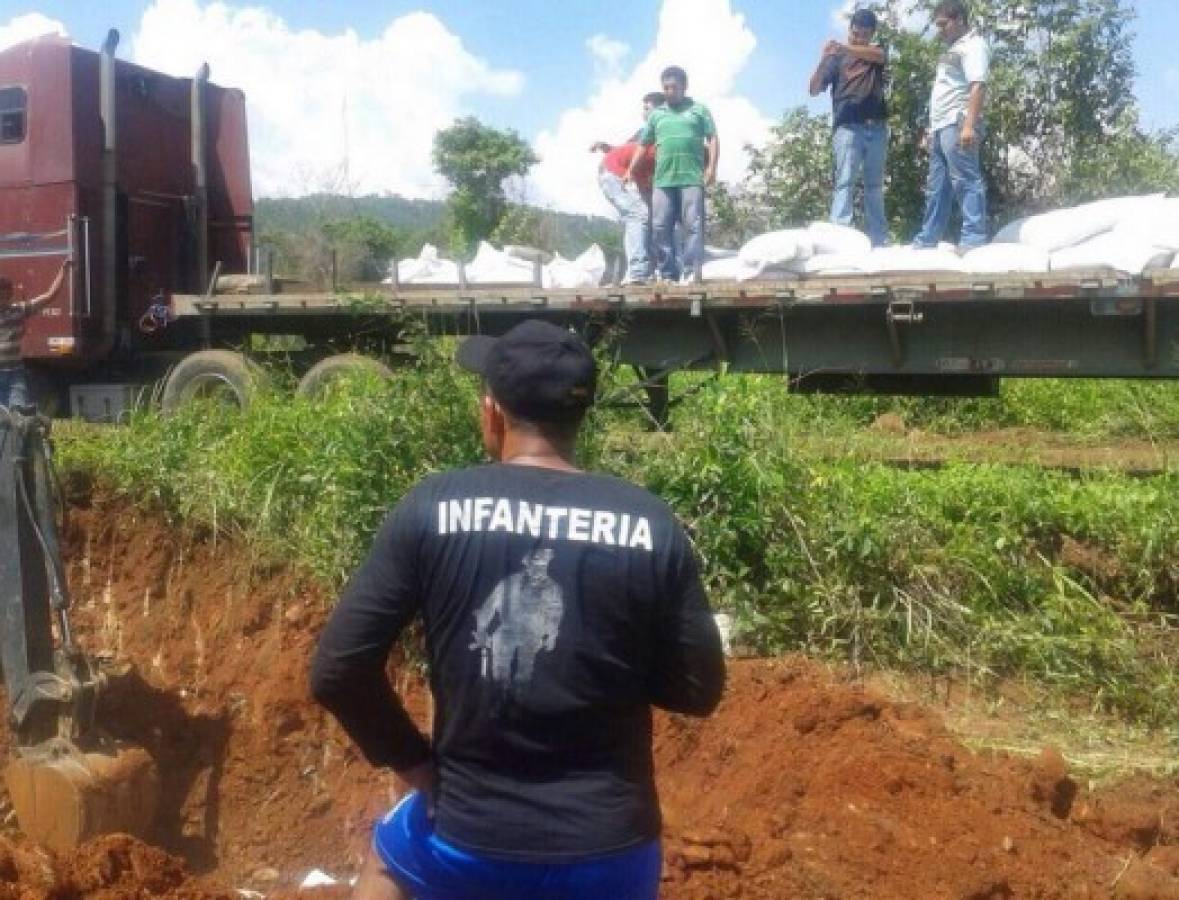 Entierran frijoles etíopes en Honduras