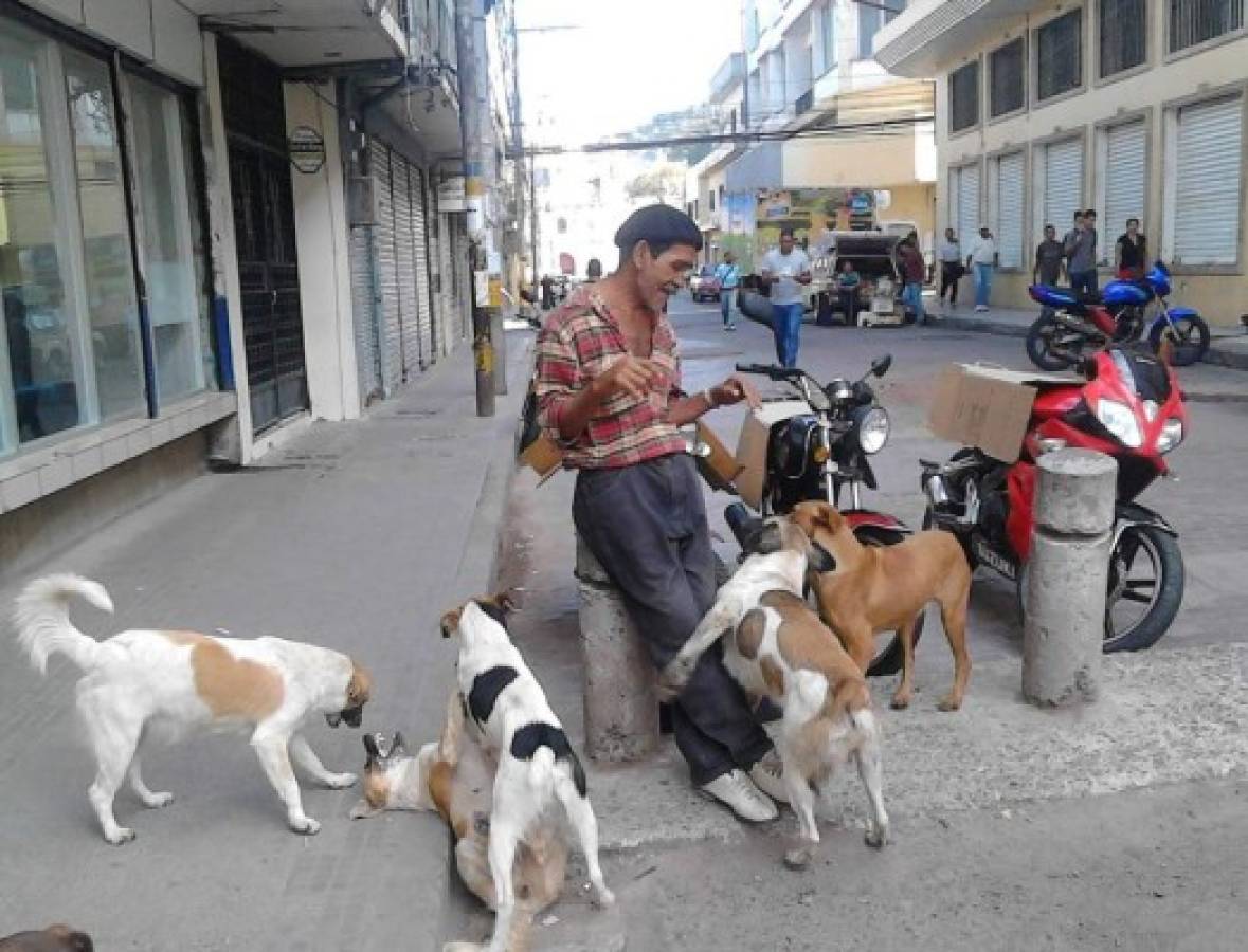 El encantador de perros hondureño