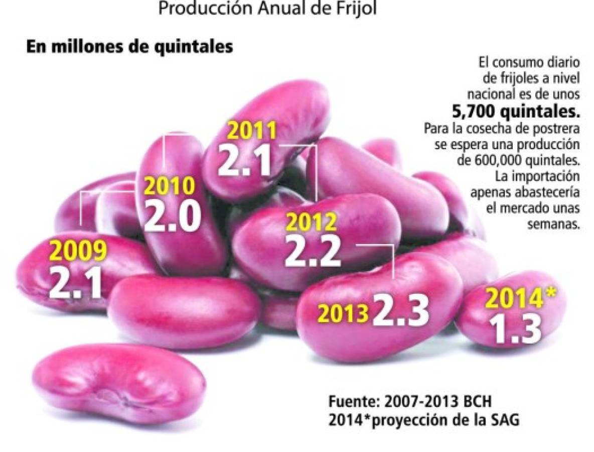 Frijoles importados de Etiopía por empresarios llegarán primero