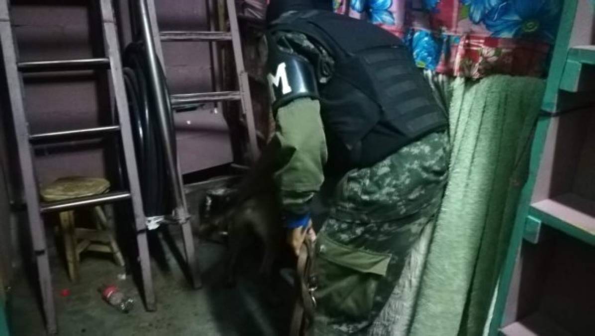 Con perros y pasamontañas, así llegaron agentes a inspeccionar varios centros penitenciarios de Honduras