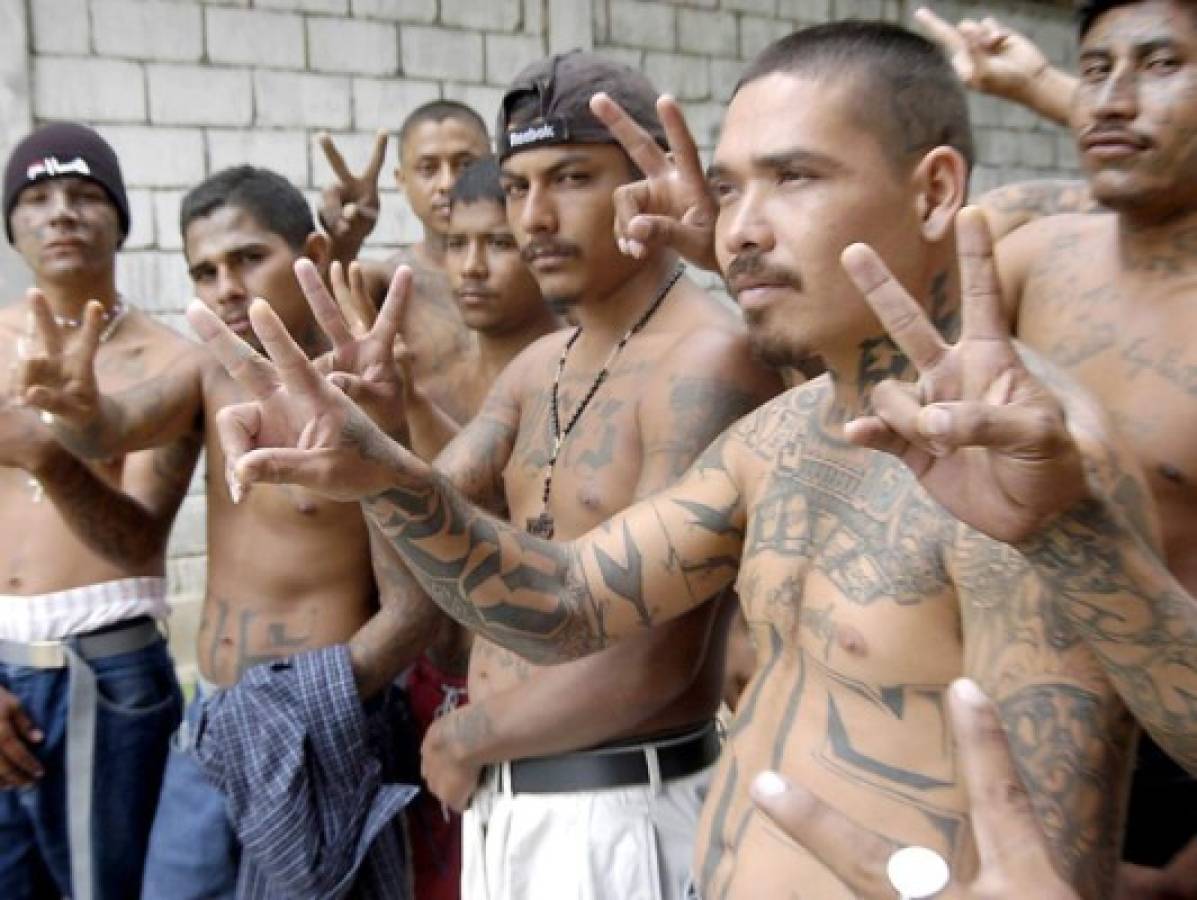 Capturan 442 miembros de la Mara Salvatrucha MS-13 en El Salvador